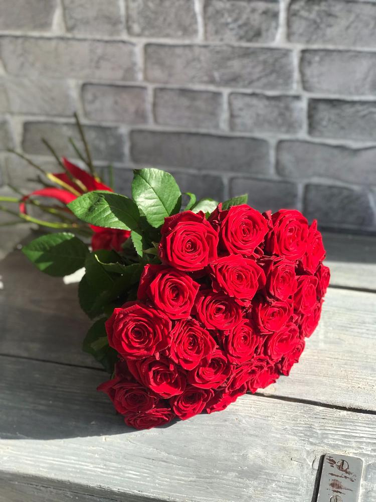Букет Красные розы Фридом в Панино