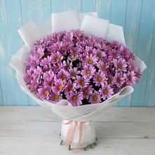 Букет цветов из:  Хризантемы в Панино