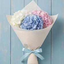 Букет цветов из:  Гортензия в Панино