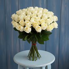 Букет 51 Белая роза Эдлесс Лав #REPLACE_PRED# Панино