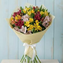 Букет цветов из:  Альстромерии #REPLACE_PRED# Панино