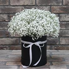 Цветочная композиция из Гипсофила в шляпной коробке в Панино