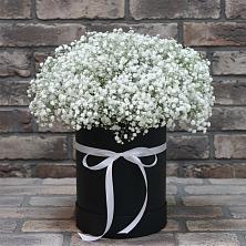Цветочная композиция из Гипсофила в шляпной коробке в Панино
