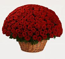 Премиум букет из: Розы #REPLACE_PRED# Панино